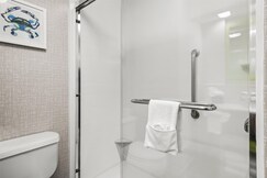 HAMPTON INN ELKTON MD, Cecil