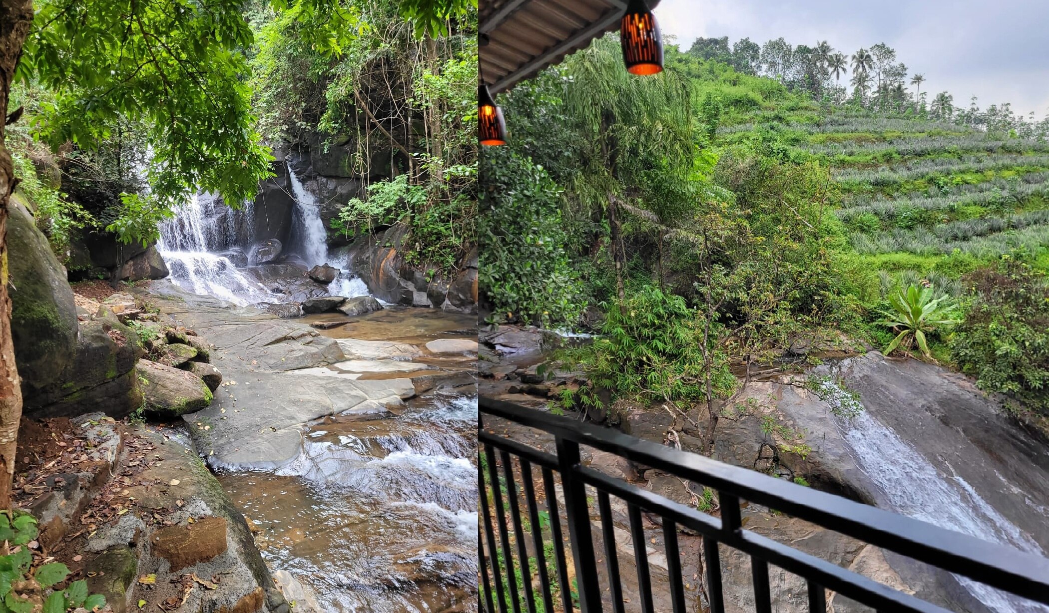 White Water Resort Arakulam - Tap to explore photos