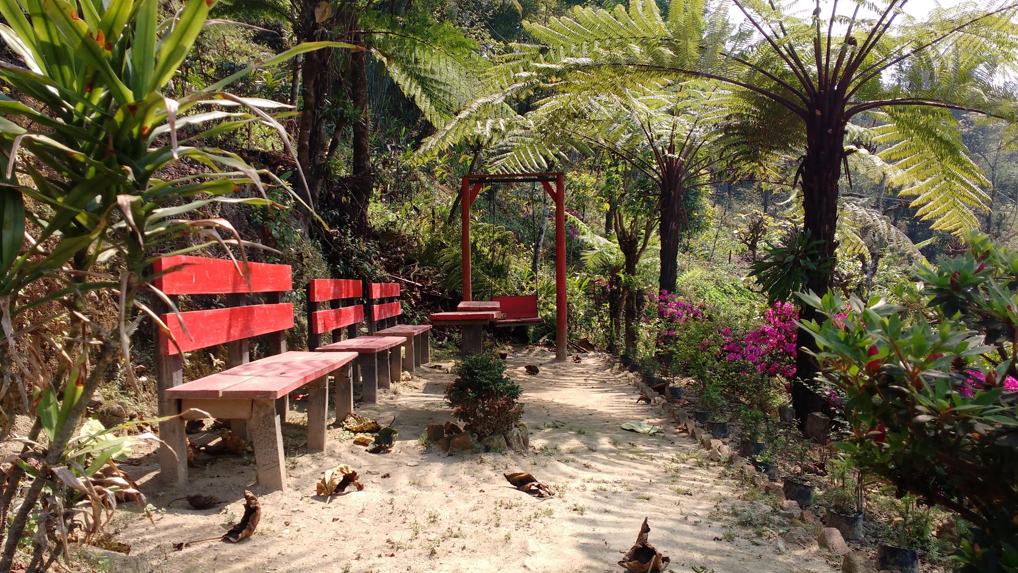 Tree Fern Resort - Tap to explore photos