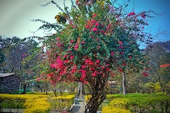 The Harikanta Corbett Resort, Jim Corbett (Ramnagar)