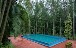 Swimming Pool 1