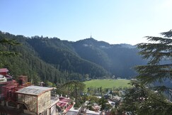 Cedar Bliss B&B, Shimla