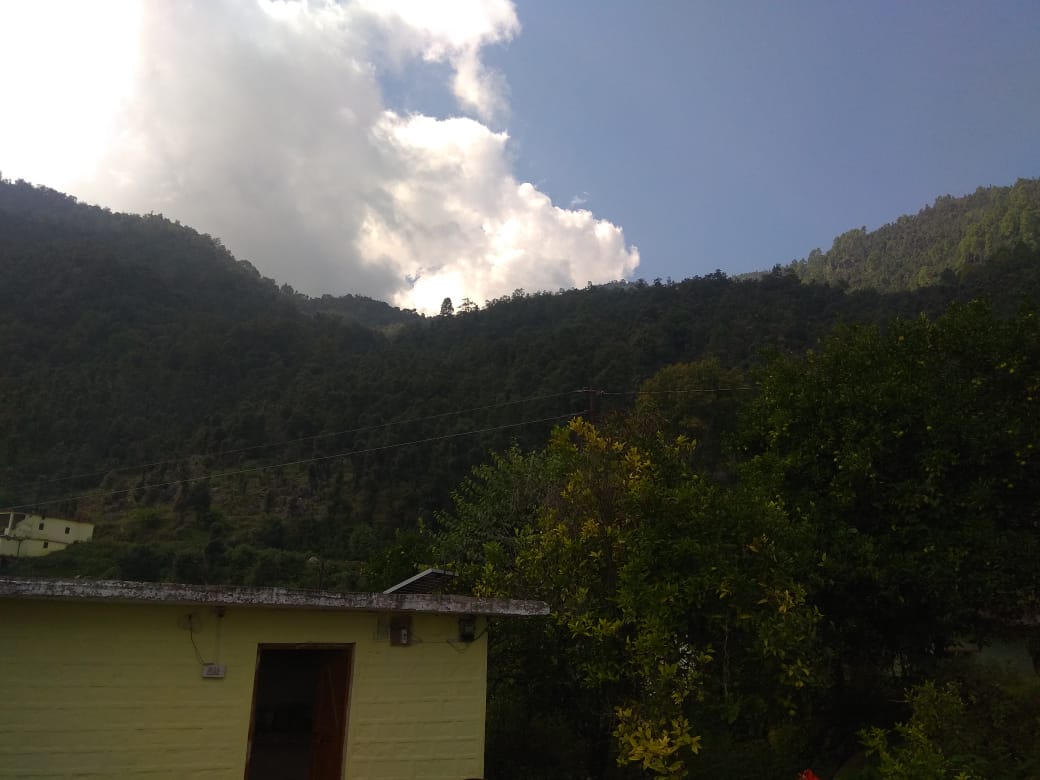 Vikram Singh Homestay - Tap to explore photos
