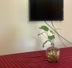 Living Room 1
