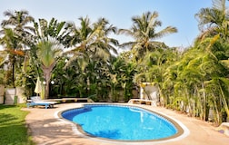 Swimming Pool 1
