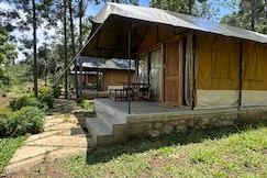 Deshadan Jungle Resort, Marayoor