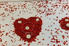 SUNBBATH beach EXOTICA, Goa