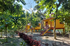 CHILAPATA DYNASTY, Alipurduar