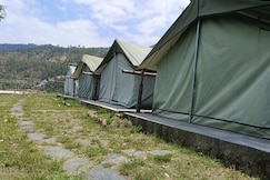 Pinehills  Nature camp, Chail