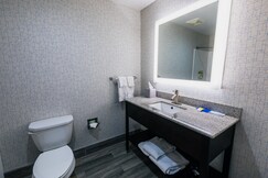 Holiday Inn Express Hotel & Suites Hamburg, Toronto