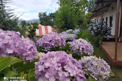 Camp Nirvana Guptkashi, Guptkashi