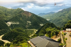 Dandelion by the Hills, KALSI