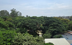 Outdoors