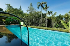 Spicegrove, Thekkady