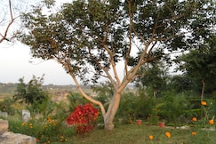 Palm Pair Resort, Jabalpur