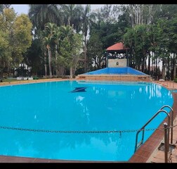 Swimming Pool 1