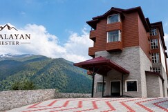 The himalayan chester, Manali