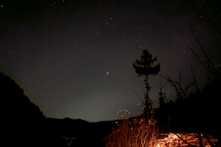 The Wyld - Cabins by Dotlife, Jibhi