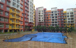 Swimming Pool 1