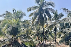 Nunes sea Villa, Goa