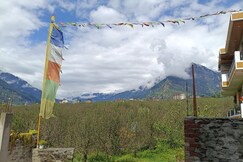 K&B Trimurti, Manali