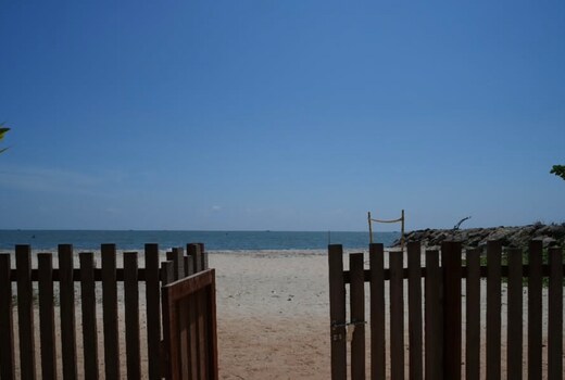 Surf bay