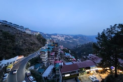 Daffodils The White House, Shimla