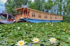 New Bul Bul Group Of Houseboat, Srinagar