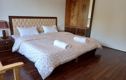 Deluxe Room With Mountain View