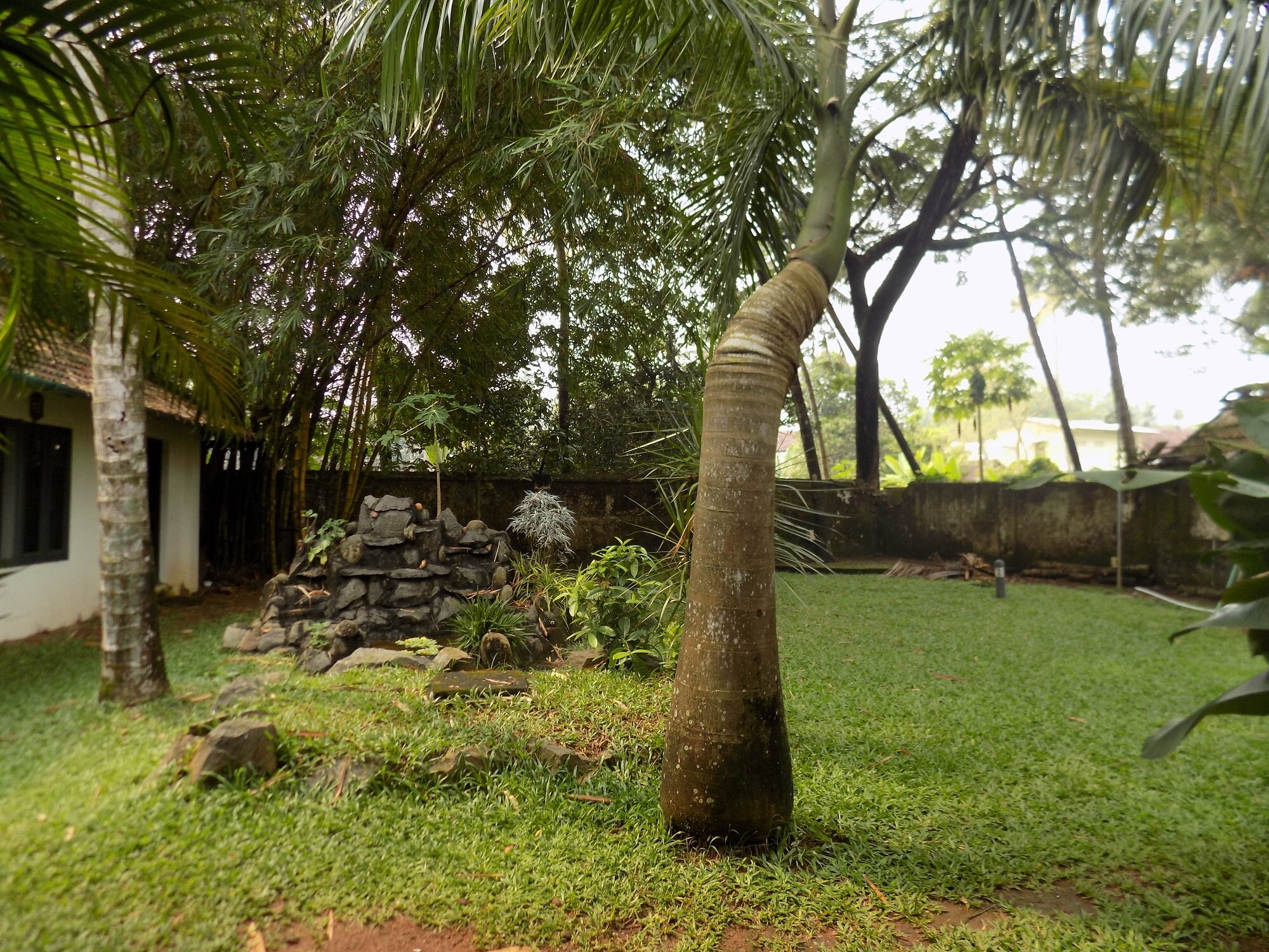 Elphinstone Residency - Tap to explore photos