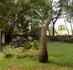 Garden Cottage Room