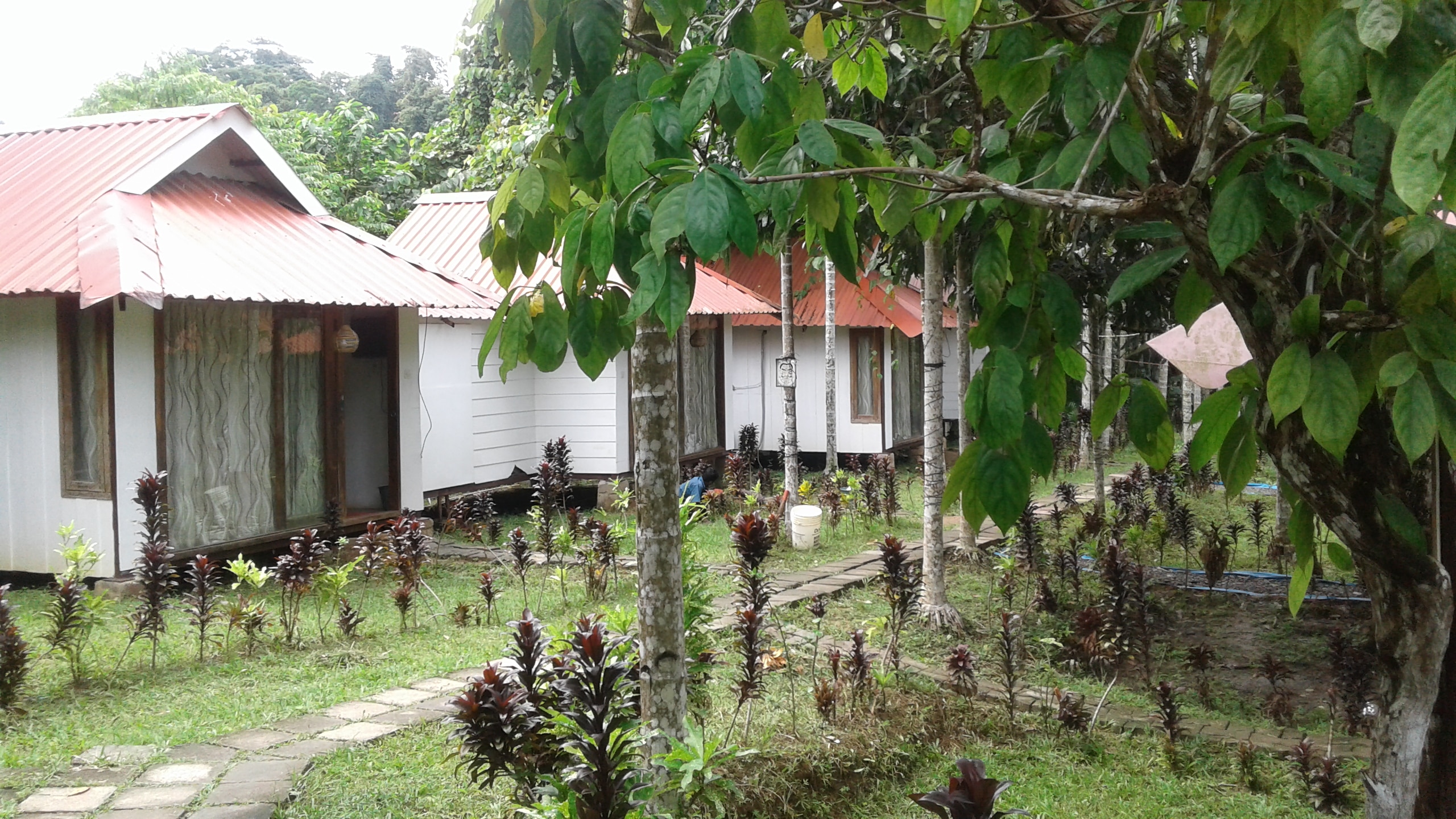 Havelock Nagri Resort Havelock Inr 445 Off 2 5 0 0 Price