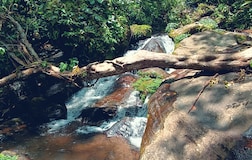 Outdoors