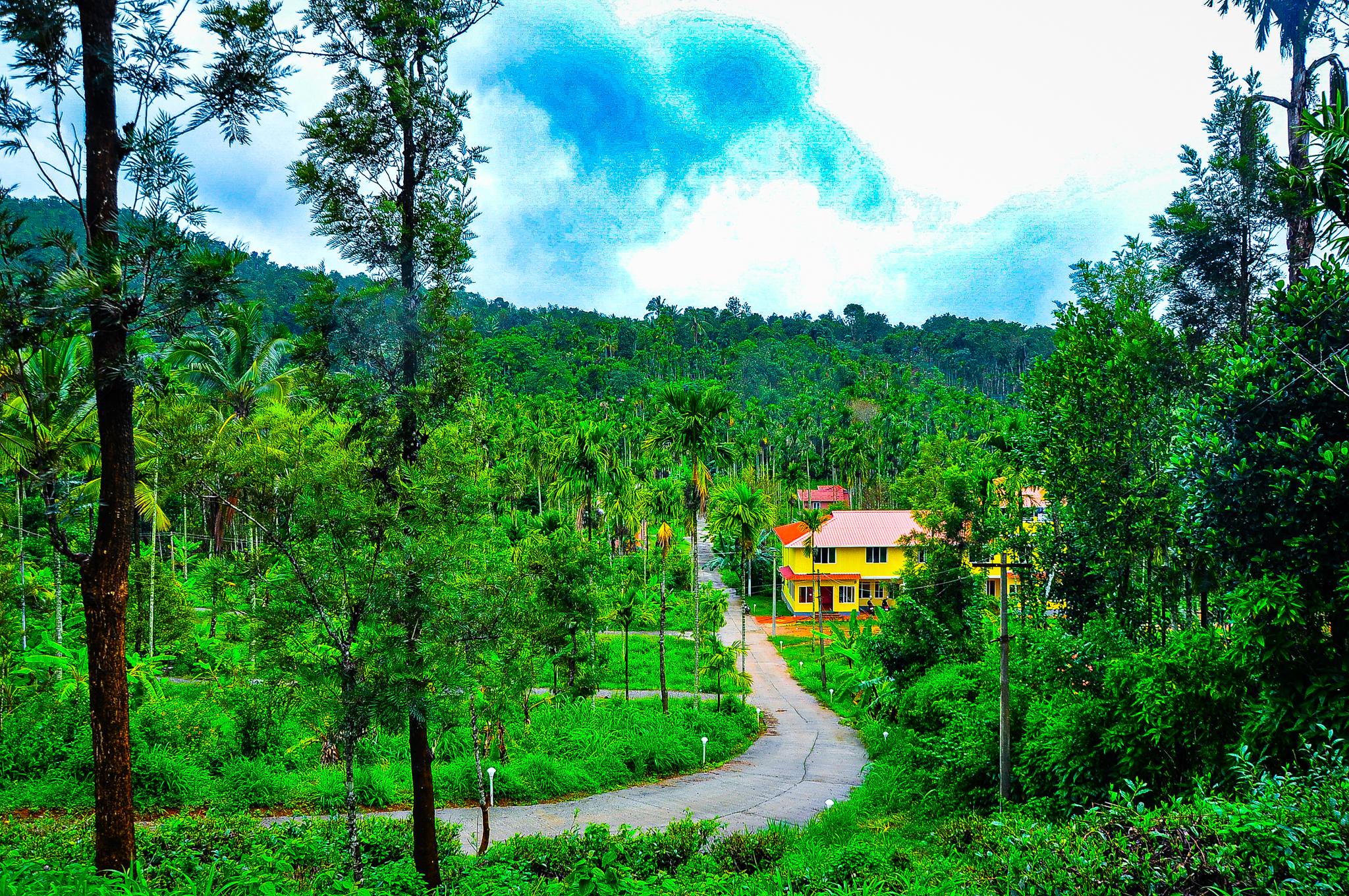 Palm Resort Gudalur - Tap to explore photos