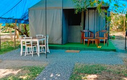 Glamping Cabbing - Elephant