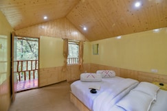 The Shalli Tribe, Mashobra