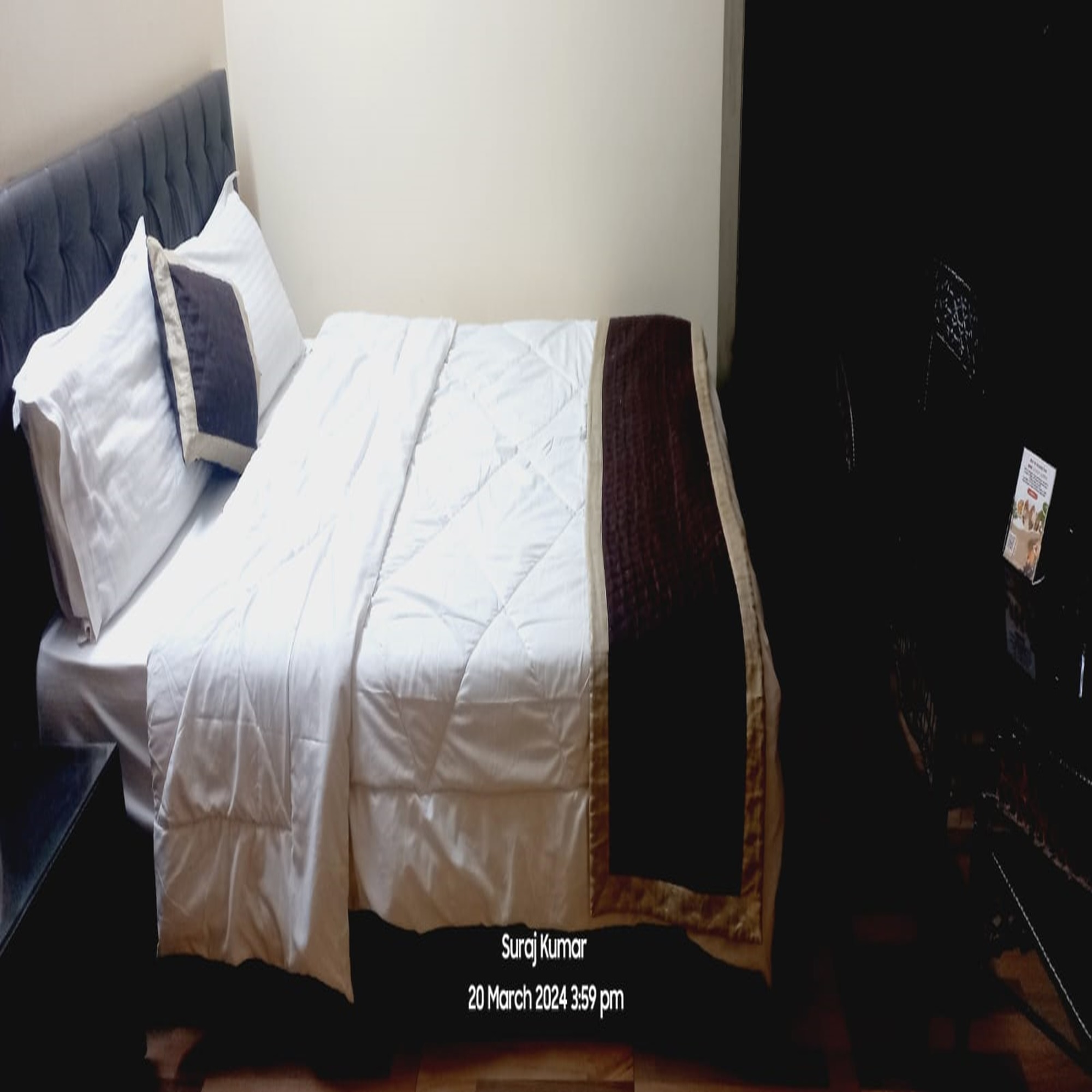 LUSH RESIDENCY - Tap to explore photos