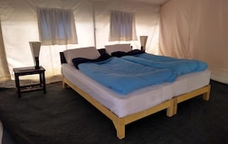 Deluxe Luxury Camps 100m from Pangong lake