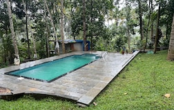 Swimming Pool 1