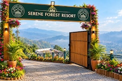 SERENE FOREST RESORT, Nainital