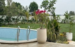 Swimming Pool 1