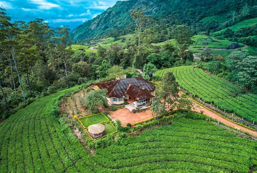 Viriparai British Tea Bungalow Munnar by VOYE HOMES