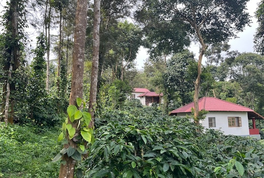 Charming Nest Estate Stay