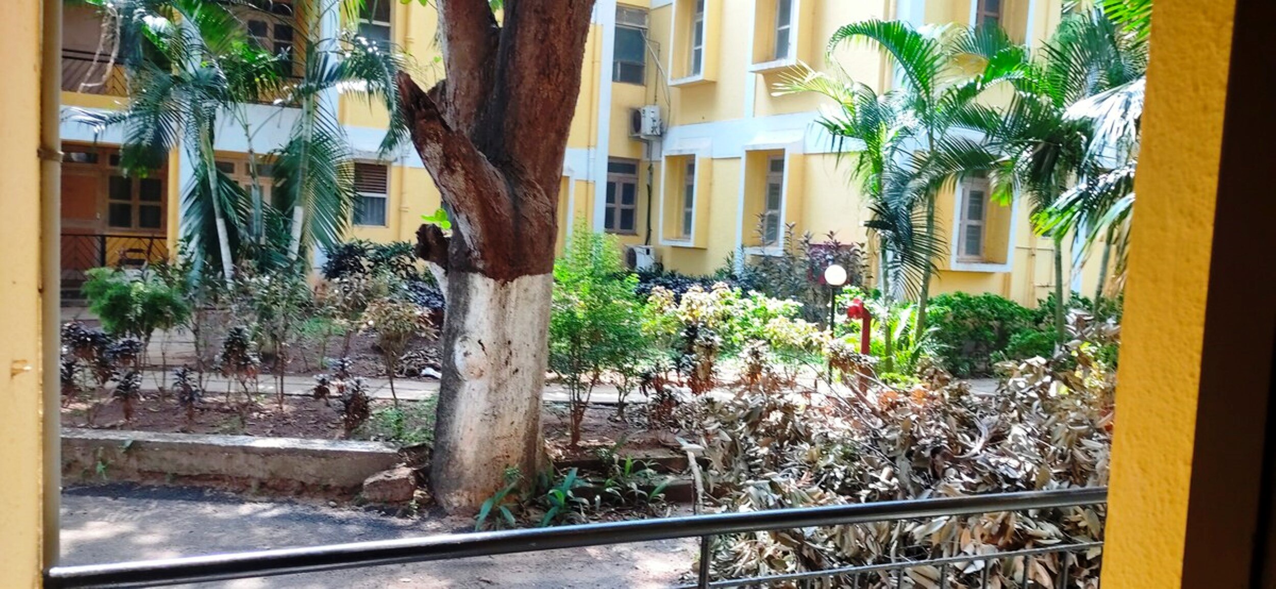 Cosy 1 Bedroom apartment in Beira Mar complex Baga - Tap to explore photos