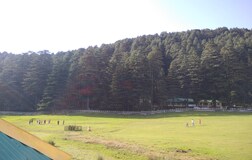 Outdoors
