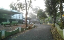 Outdoors