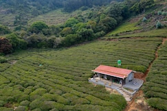 Wild And Free Organic Farmstay, Ooty