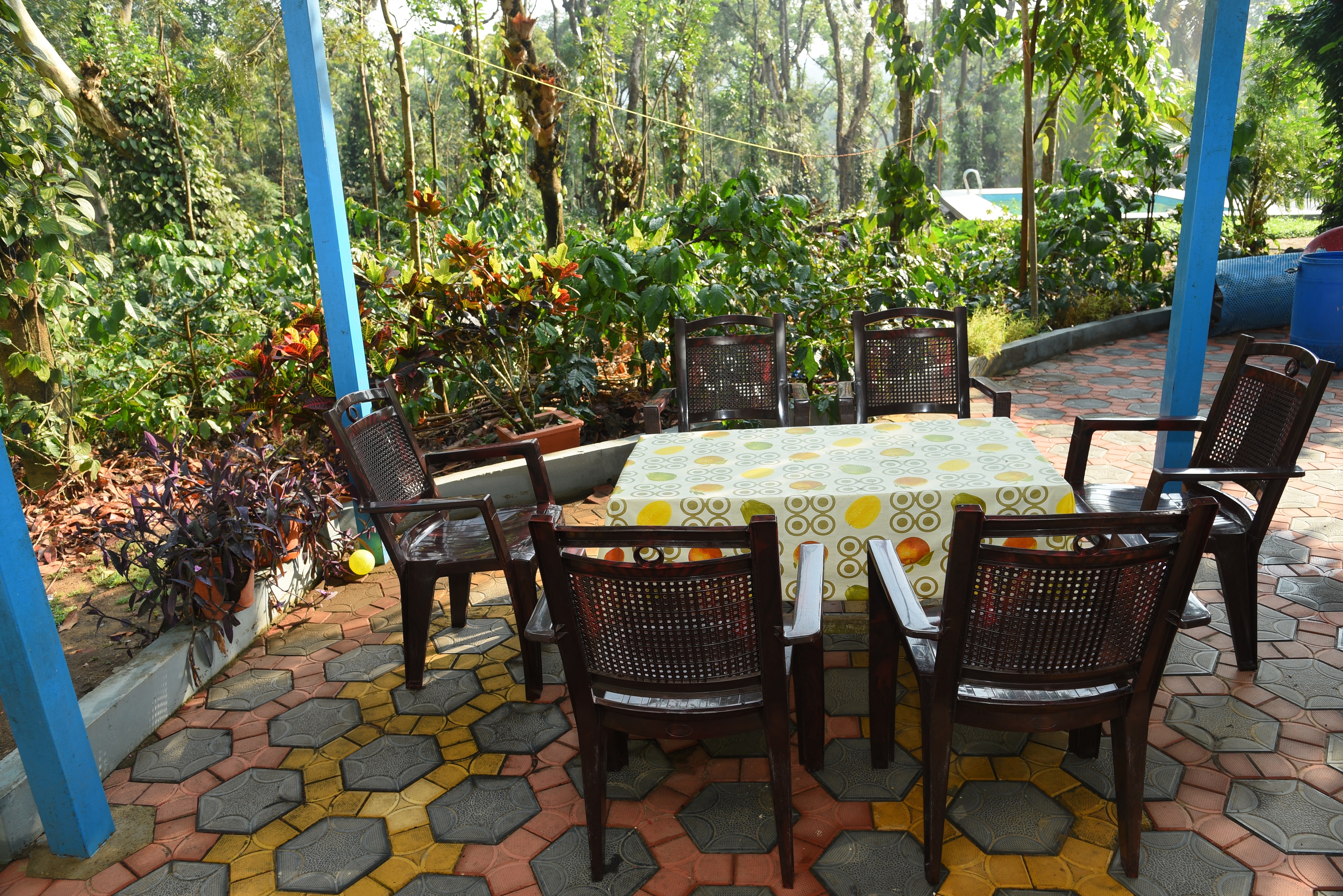 Kalyan Cool Homestay - Chikmagalur - Tap to explore photos