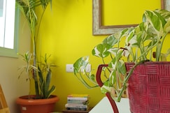 Modern Sunshine 3 BHK Villa, Jaipur