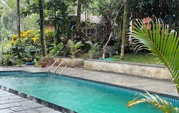 Swimming Pool 1